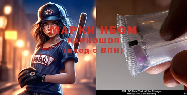 индика Арсеньев