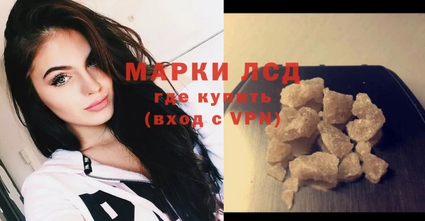 индика Арсеньев
