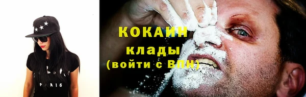индика Арсеньев