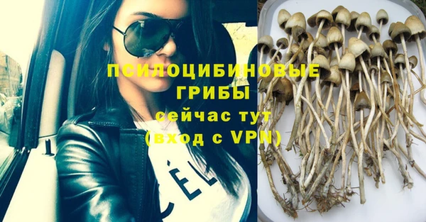 индика Арсеньев
