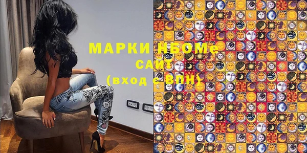 индика Арсеньев