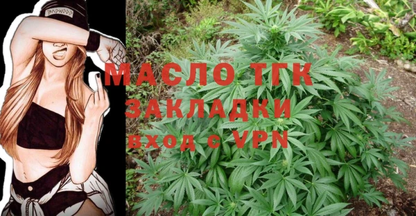 индика Арсеньев