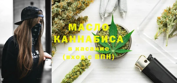 индика Арсеньев
