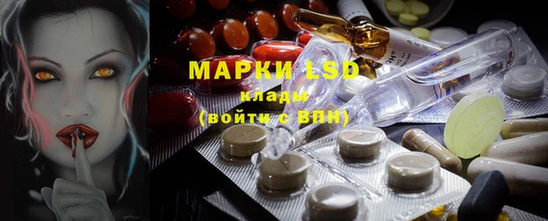 индика Арсеньев
